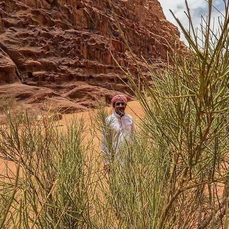Stargazing Camp & Tours Hotel Wadi Rum Eksteriør billede